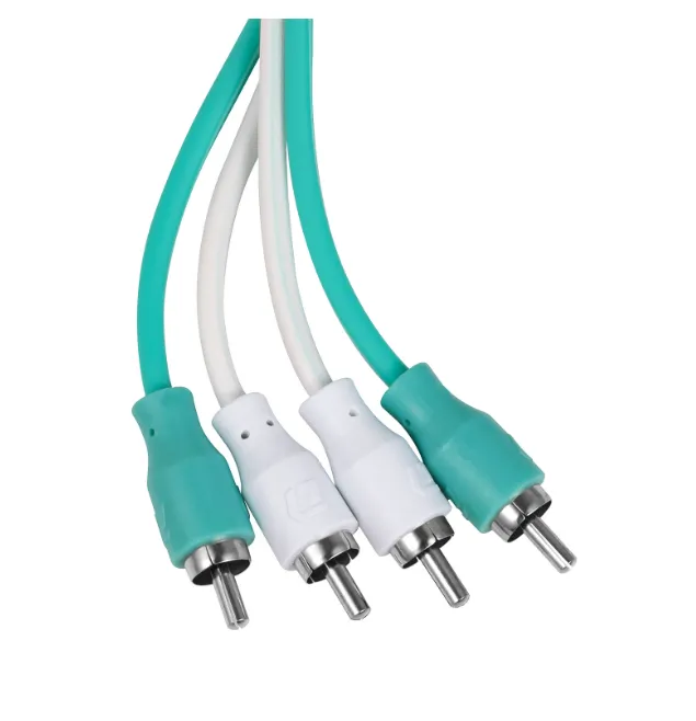 изображение_2024-01-20_213111397