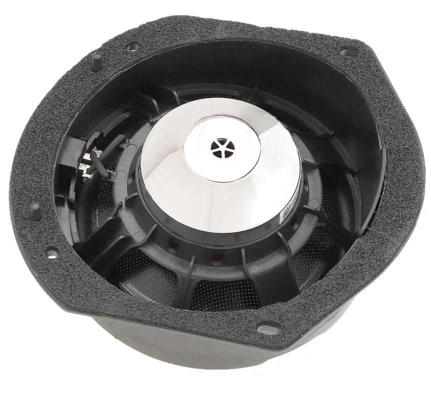 Акустика штатная Dynamic State DTS-CS165S - фото