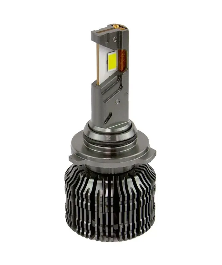 изображение_2024-02-14_010521748