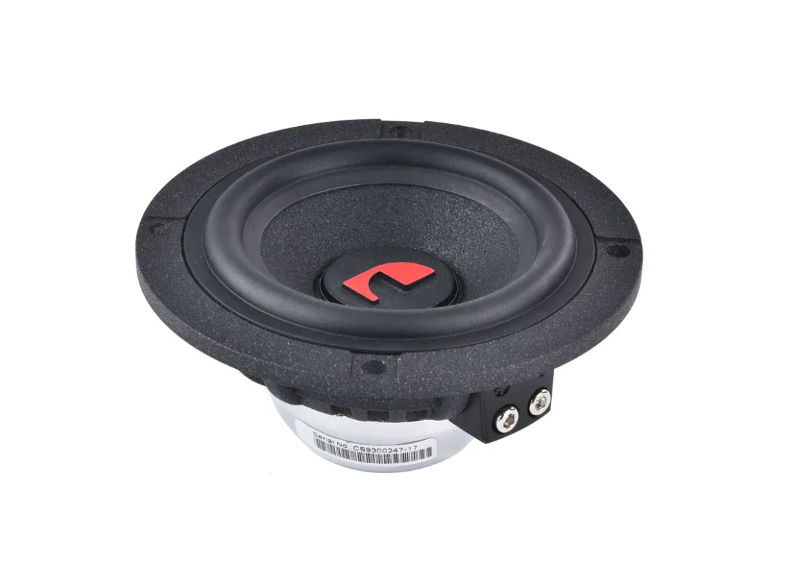 СЧ/НЧ динамик Nakamichi NS-S31M - фото